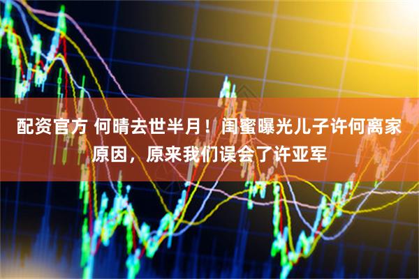 配资官方 何晴去世半月！闺蜜曝光儿子许何离家原因，原来我们误会了许亚军